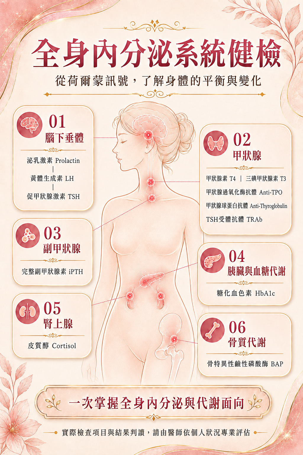 全身內分泌功能檢測檢驗說明圖