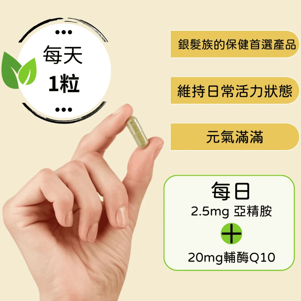 銀髮族的保健首選產品 維持日常活力狀態 元氣滿滿