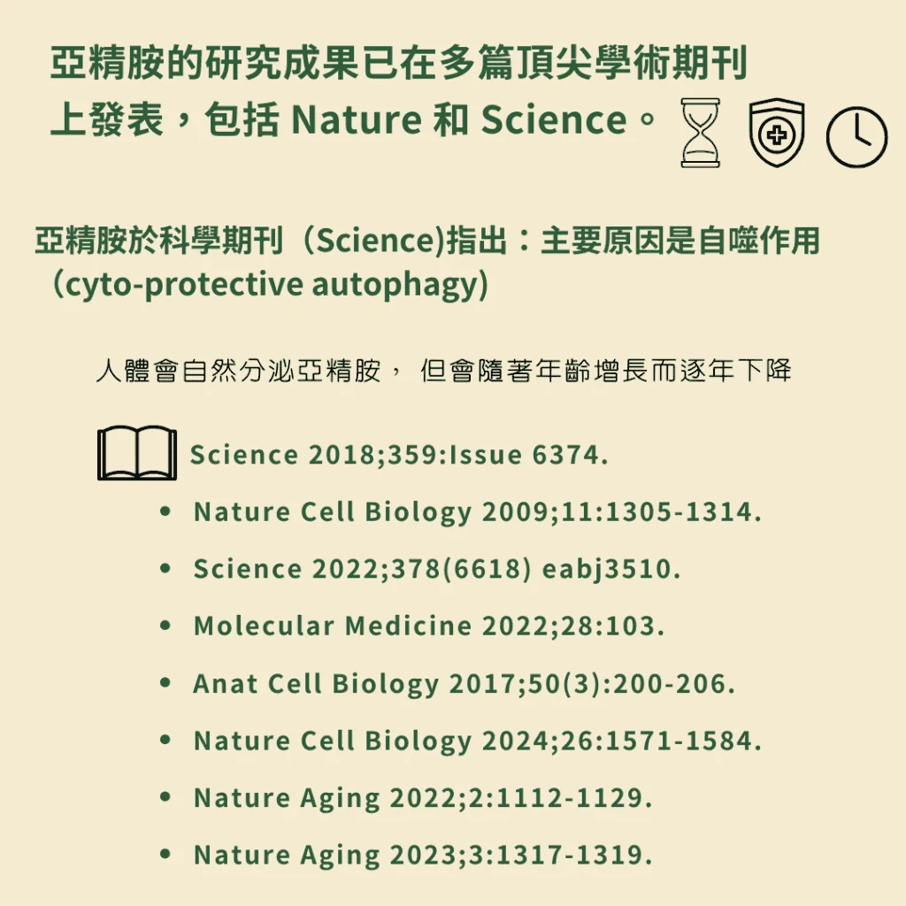 亞精胺的研究成果已在多篇頂尖學術期刊上發表,包括 Nature 和 Science。 亞精胺於科學期刊(Science)指出:主要原因是自噬作用 (cyto-protective autophagy)