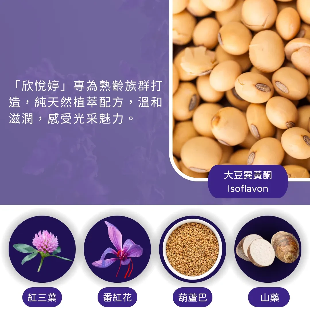 欣悅婷