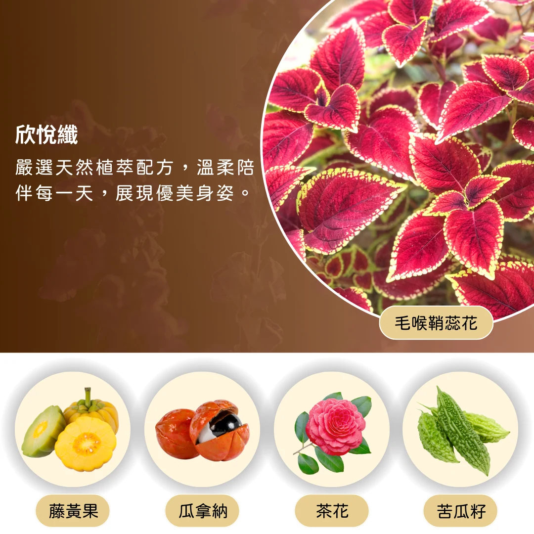 欣悅纖1