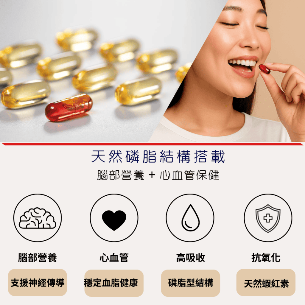 天然磷脂結構搭載