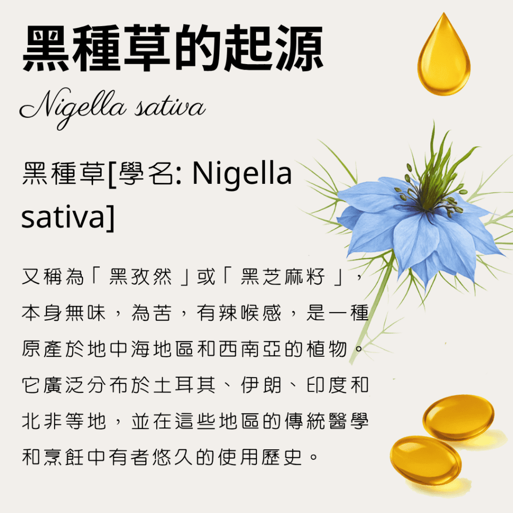 黑種草的起源Nigella sativa黑種草[學名: Nigella sativa]又稱為「黑孜然」或「黑芝麻籽」，本身無味，為苦，有辣喉感，是一種原產於地中海地區和西南亞的植物。它廣泛分布於土耳其、伊朗、印度和北非等地，並在這些地區的傳統醫學和烹飪中有者悠久的使用歷史。 