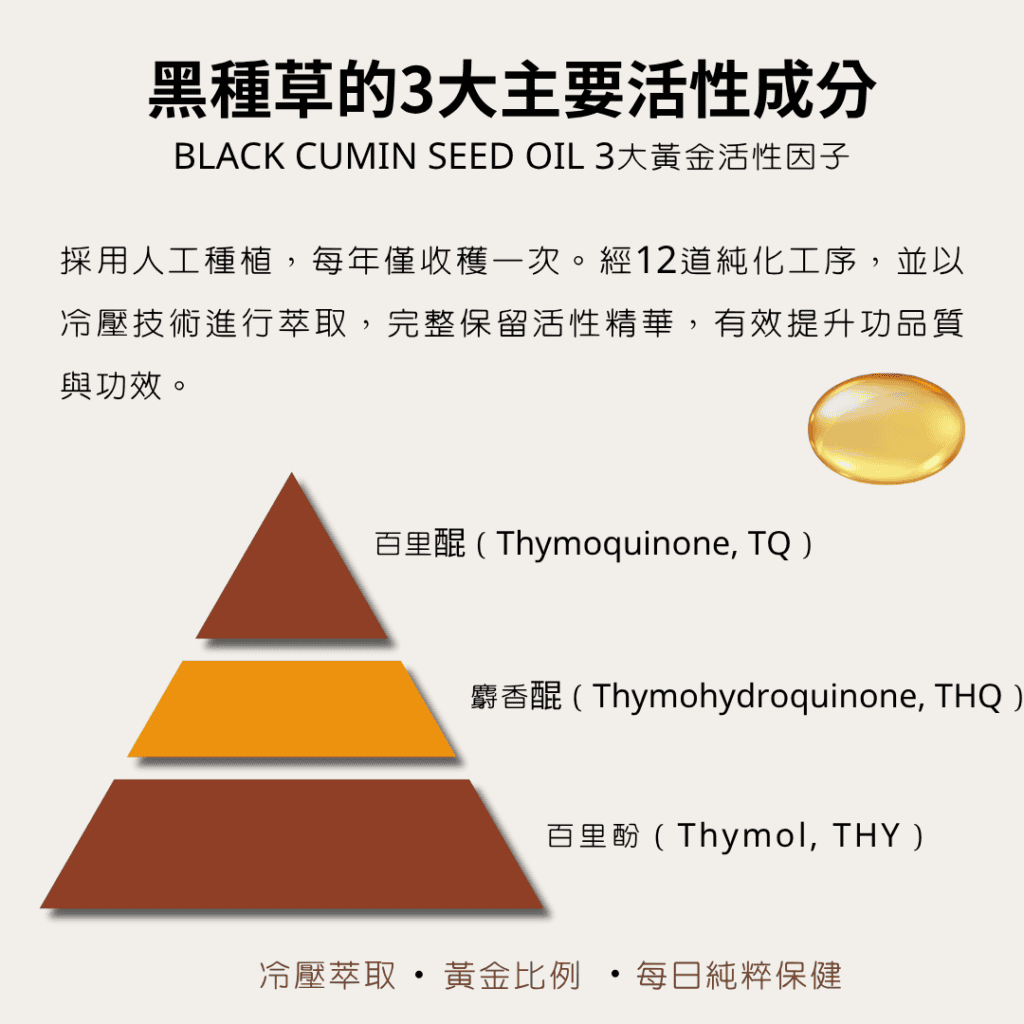 黑種草的3大主要活性成分BLACK CUMIN SEED OIL 3大黃金活性因子 採用人工種植，每年僅收穫一次。經12道純化工序，並以冷壓技術進行萃取，完整保留活性精華，有效提升功品質與功效。 百里醌（Thymoquinone, TQ） 麝香醌（Thymohydroquinone, THQ） 百里酚（Thymol, THY） 冷壓萃取 黃金比例 每日純粹保健