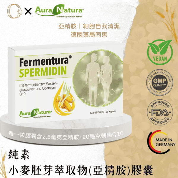 純素亞精胺活力膠囊