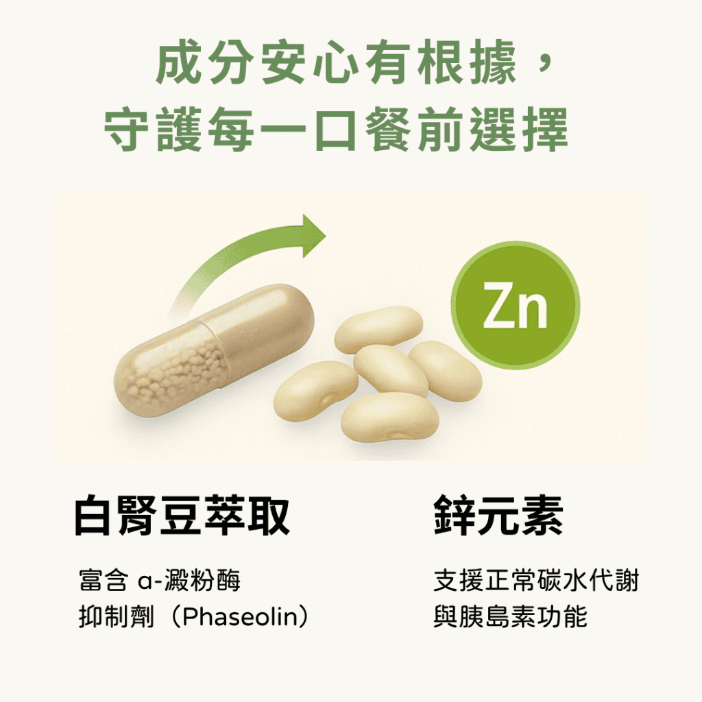 成分安心有根據， 守護每一口餐前選擇 白腎豆萃取 富含 α-澱粉酶 抑制劑（Phaseolin） 鋅元素 支援正常碳水代謝 與胰島素功能