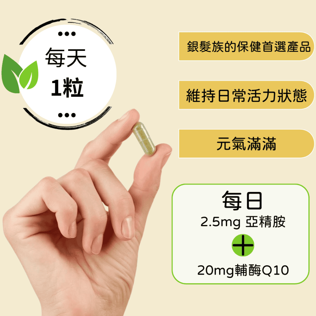 銀髮族的保健首選產品 維持日常活力狀態 元氣滿滿