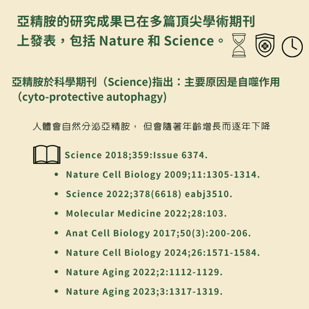 亞精胺的研究成果已在多篇頂尖學術期刊上發表，包括 Nature 和 Science。 亞精胺於科學期刊（Science)指出：主要原因是自噬作用 （cyto-protective autophagy)