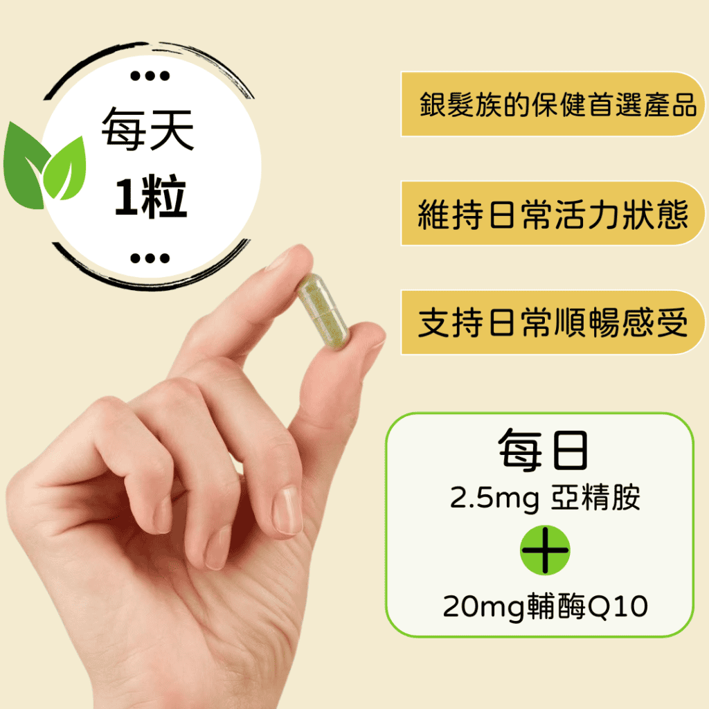 銀髮族的保健首選產品
維持日常活力狀態
支持日常順暢感受