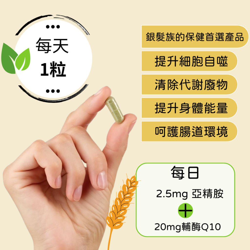 銀髮族的保健首選產品