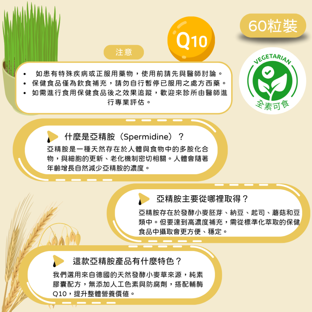什麼是亞精胺（Spermidine）？ 亞精胺是一種天然存在於人體與食物中的多胺化合物，與細胞的更新、老化機制密切相關。人體會隨著年齡增長自然減少亞精胺的濃度。