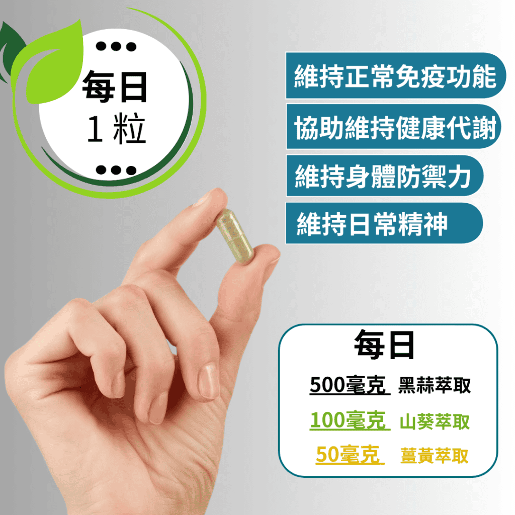 維持正常免疫功能 協助維持健康代謝 維持身體防禦力 維持日常精神